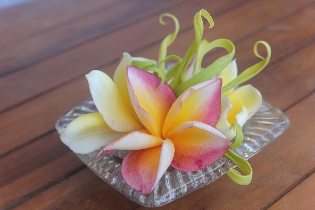 Donald Home Stay Ubud Exterior foto